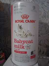 Замінник котячого молока