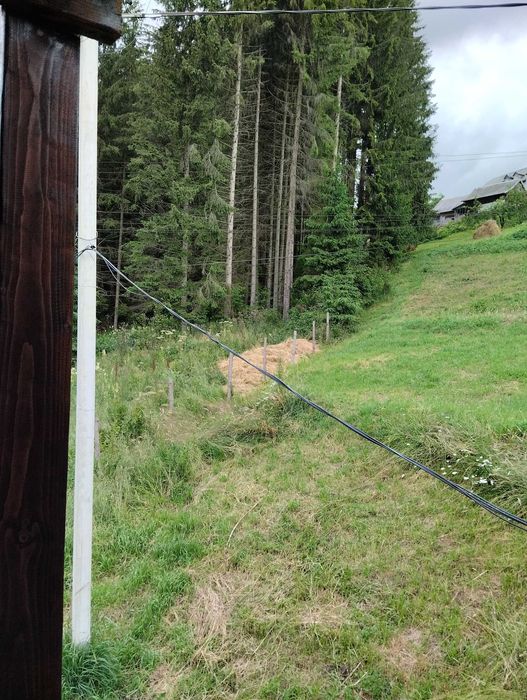 Оренда котеджу, будинку, житла у Карпатах