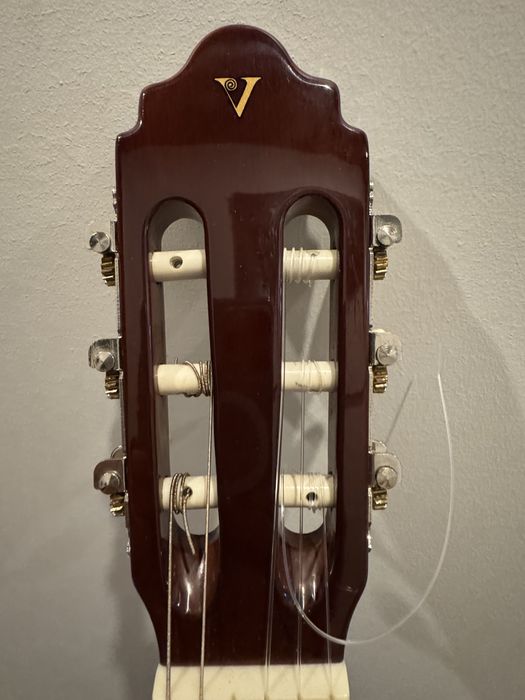 Viola + Capa de transperte