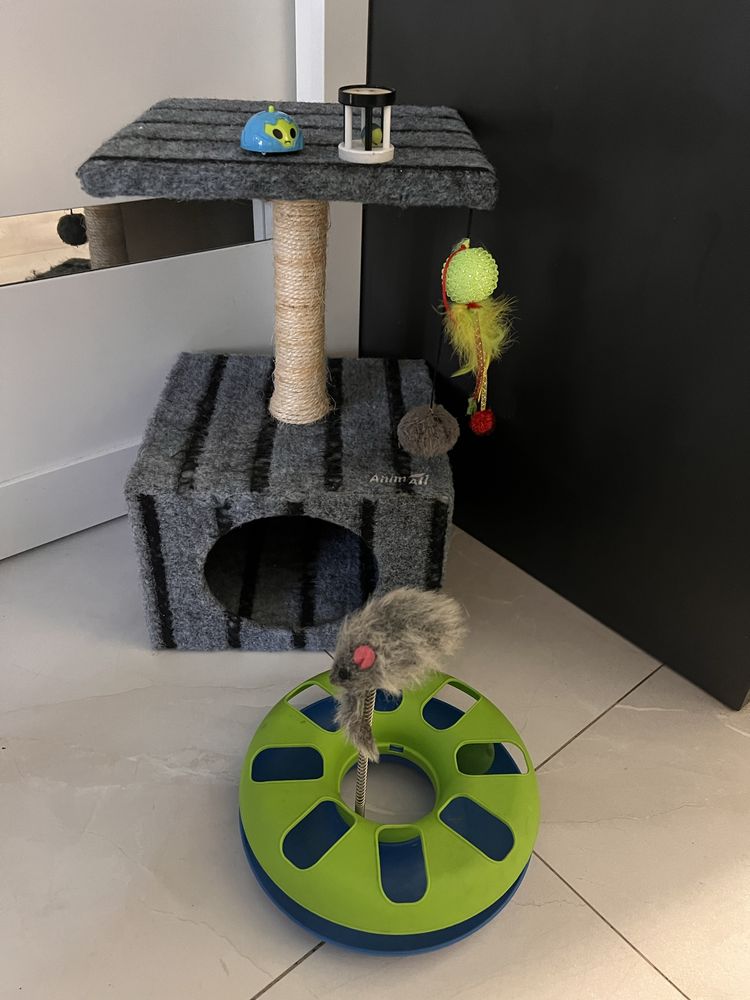 Домик Лежанка когетка для котика с игрушками комплект