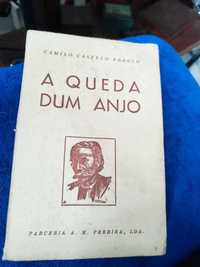 Livro A queda de um Anjo