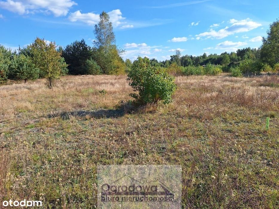 Działki pod zabudowę, Lucynów, PKP