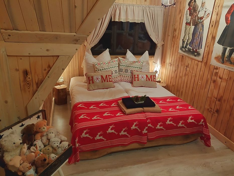 nocleg Zakopane Kościelisko  domek góry kominek z psem