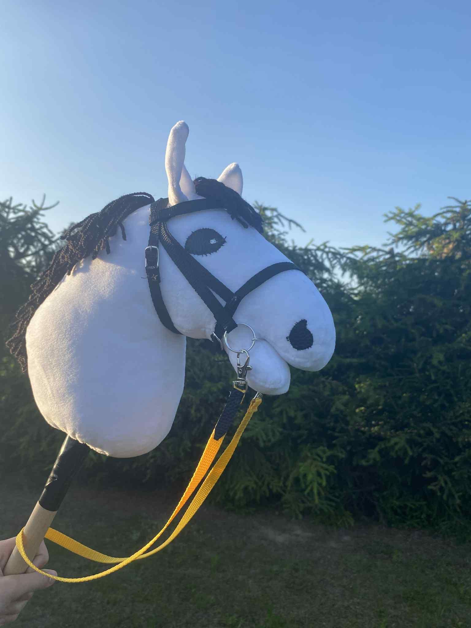 Koń na kiju Hobby horse