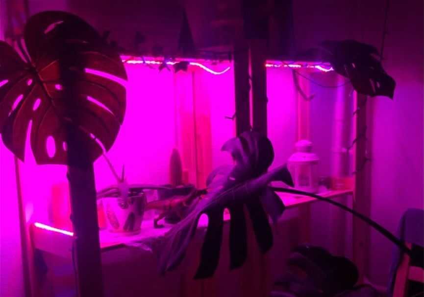 Фіто LED стрічка для рослин з USB