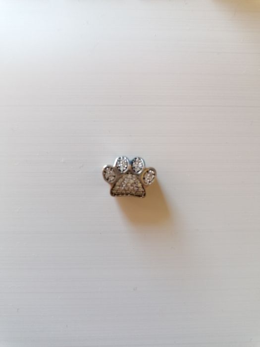 Peça de prata pata animal