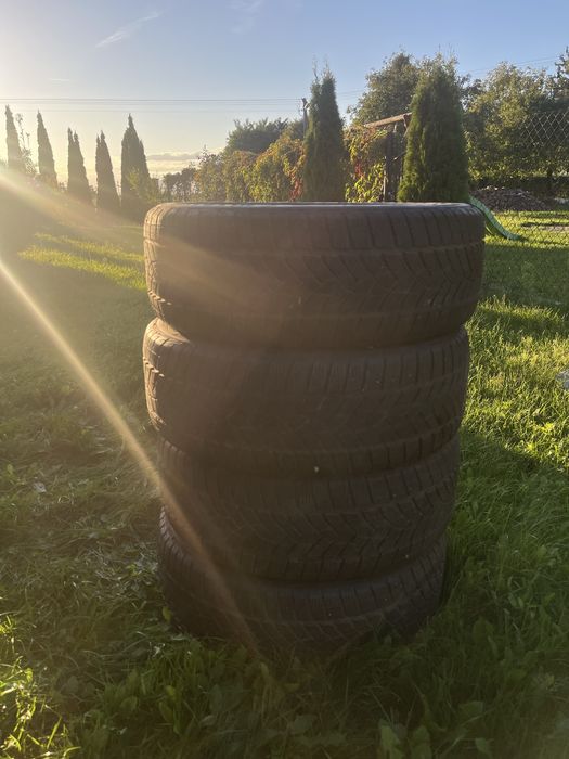 Opony zimowe Good Year