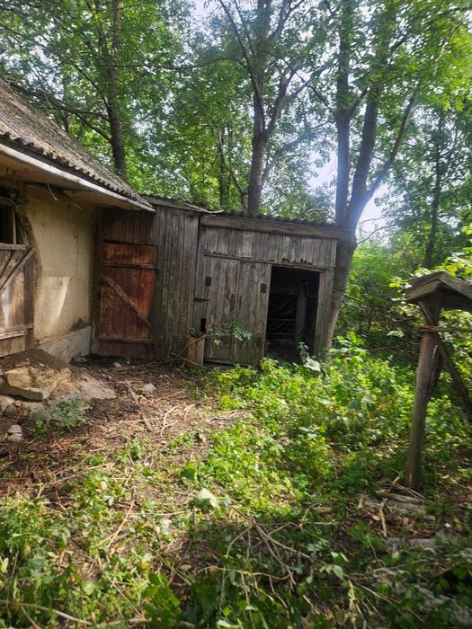 Здам будинок для переселенців