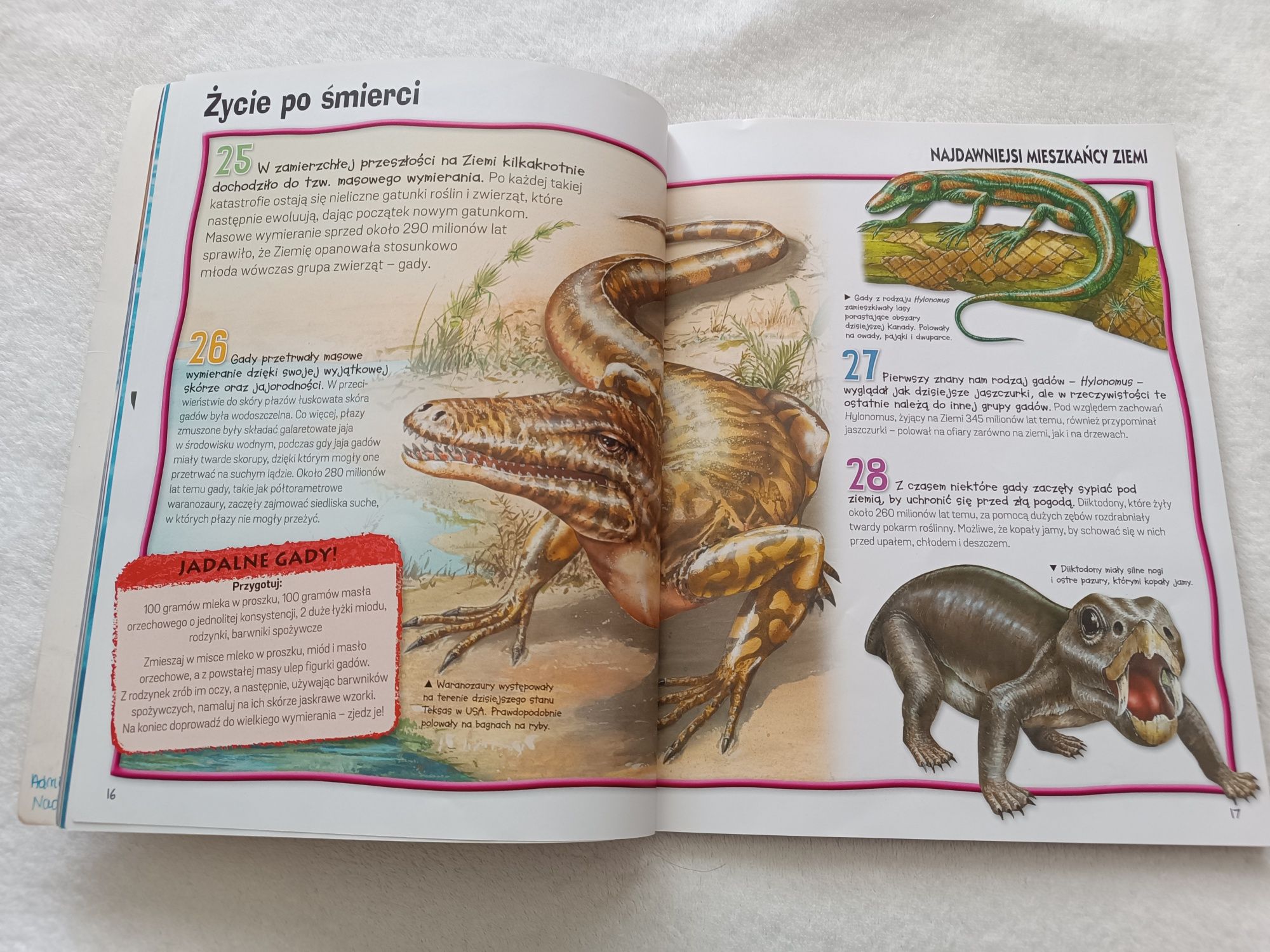 300 faktów: Dinozaury. Przewodnik po pradawnych dziejach Ziemi.