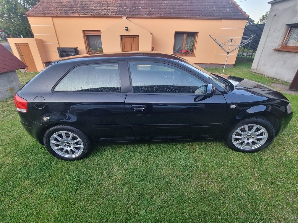 Audi a3 8p 1.6 mpi