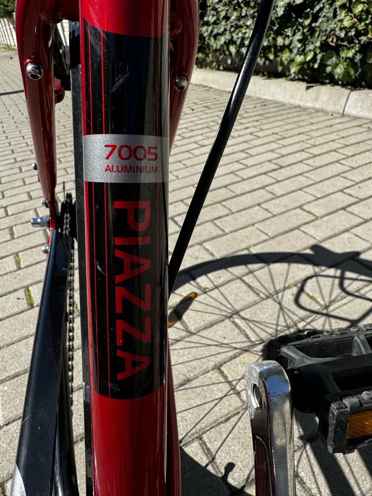 Rower Pegasus Piazza