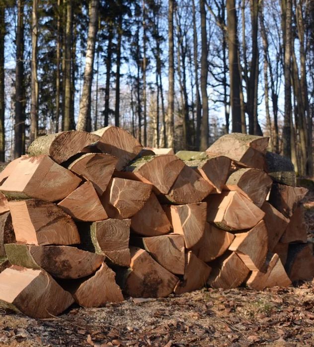 Drewno kominkowe opałowe