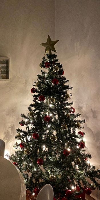 Árvore de Natal em ótimo estado