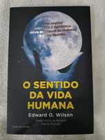 Livros para adultos/jovens adultos