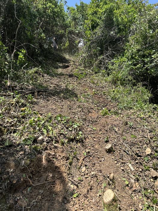 Limpeza terrenos, corte arvores, jardinagem ,trabalhos de maquina