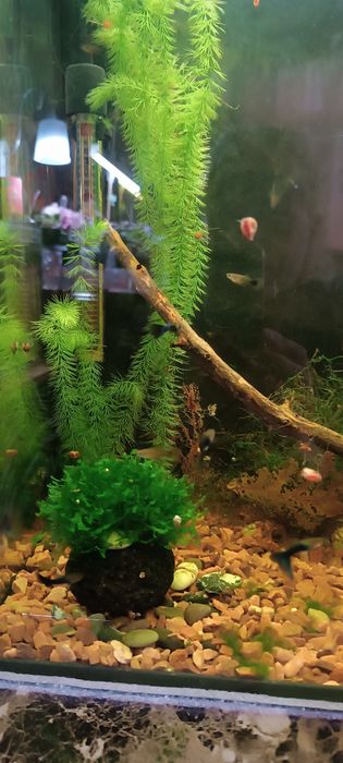 Аквариум 40литров