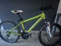 Rower Kands Leopardo 24” junior