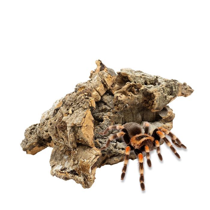 Biocork Bits Ścinki Kory Dębu Korkowego 250G