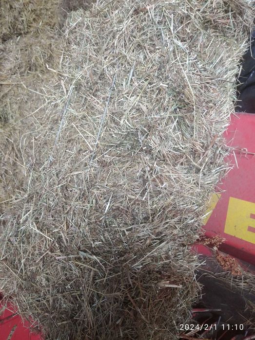 Сіно лугове, різнотрав'я.