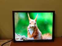 Monitor Dell 2007FPb uszkodzony