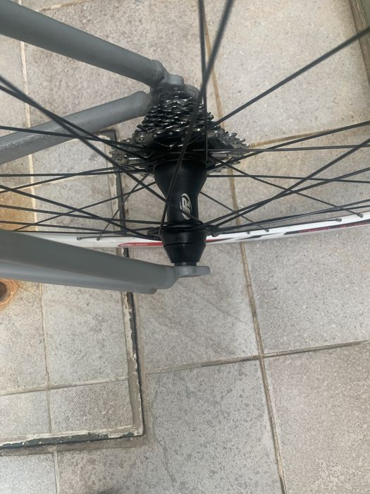 Quadro estrada Ridley Tempo + rodas