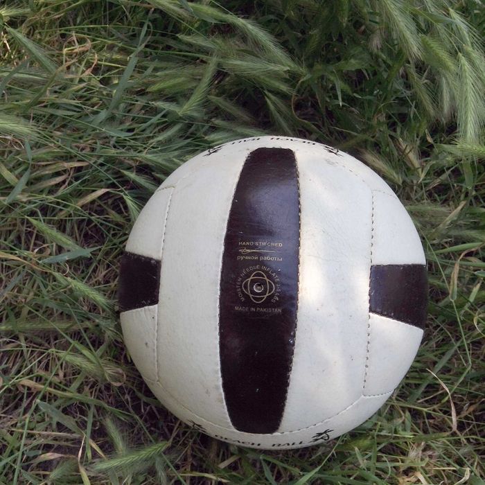 Мяч футбольный волейбольный