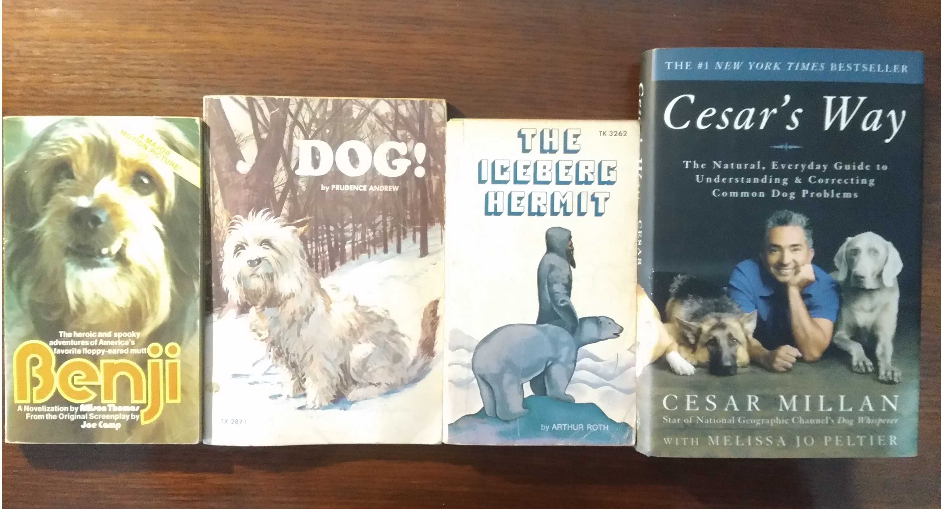 Benji - Dog - Prudence Andrew - The Iceberg Hermit - Cesar´s Way