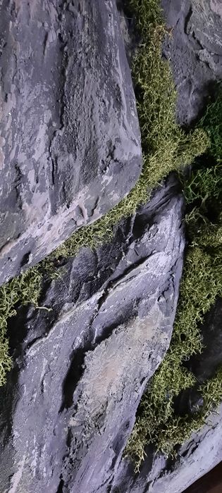 Картина интерьерная скала, мох, горы.