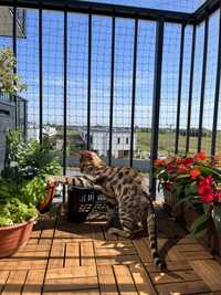 Siatki dla kotów/ Osiatkowanie balkonu/Siatki dla ptaków/
