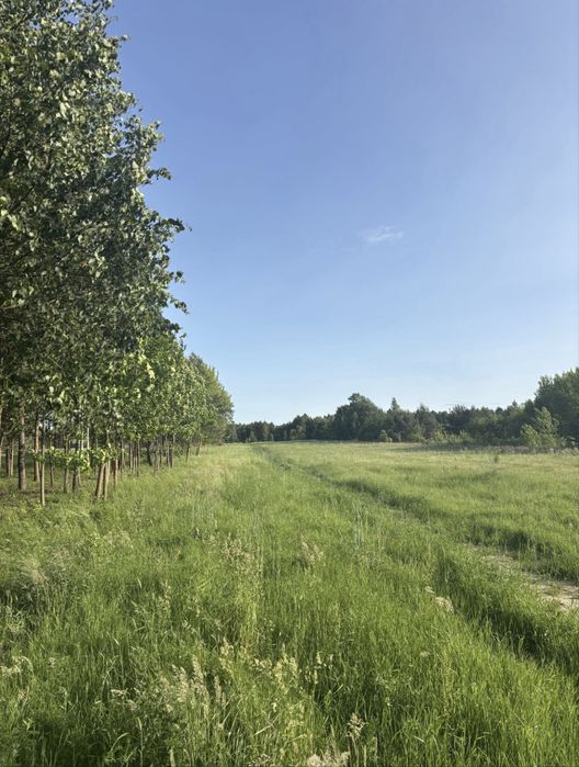 Działki Orońsko.