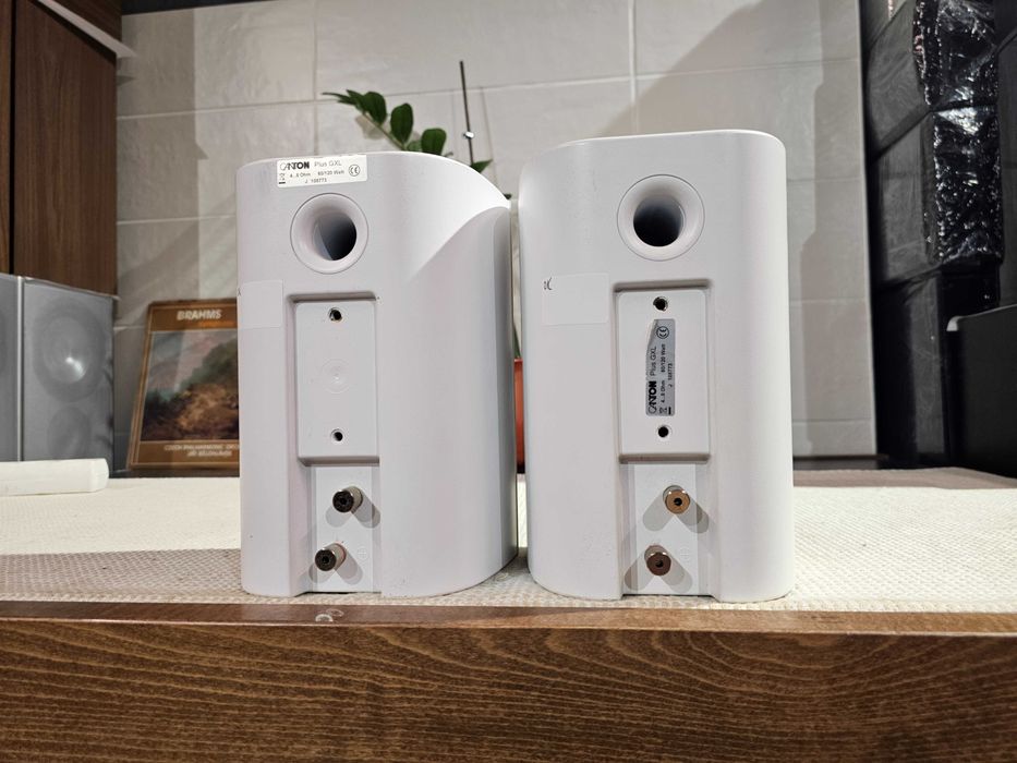 Акустика Canton Plus GXL 120 Вт