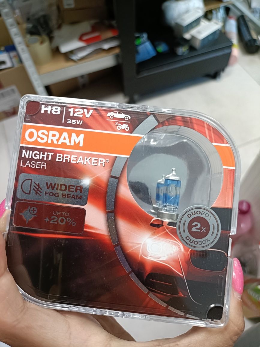H8 12v żarówki Osram