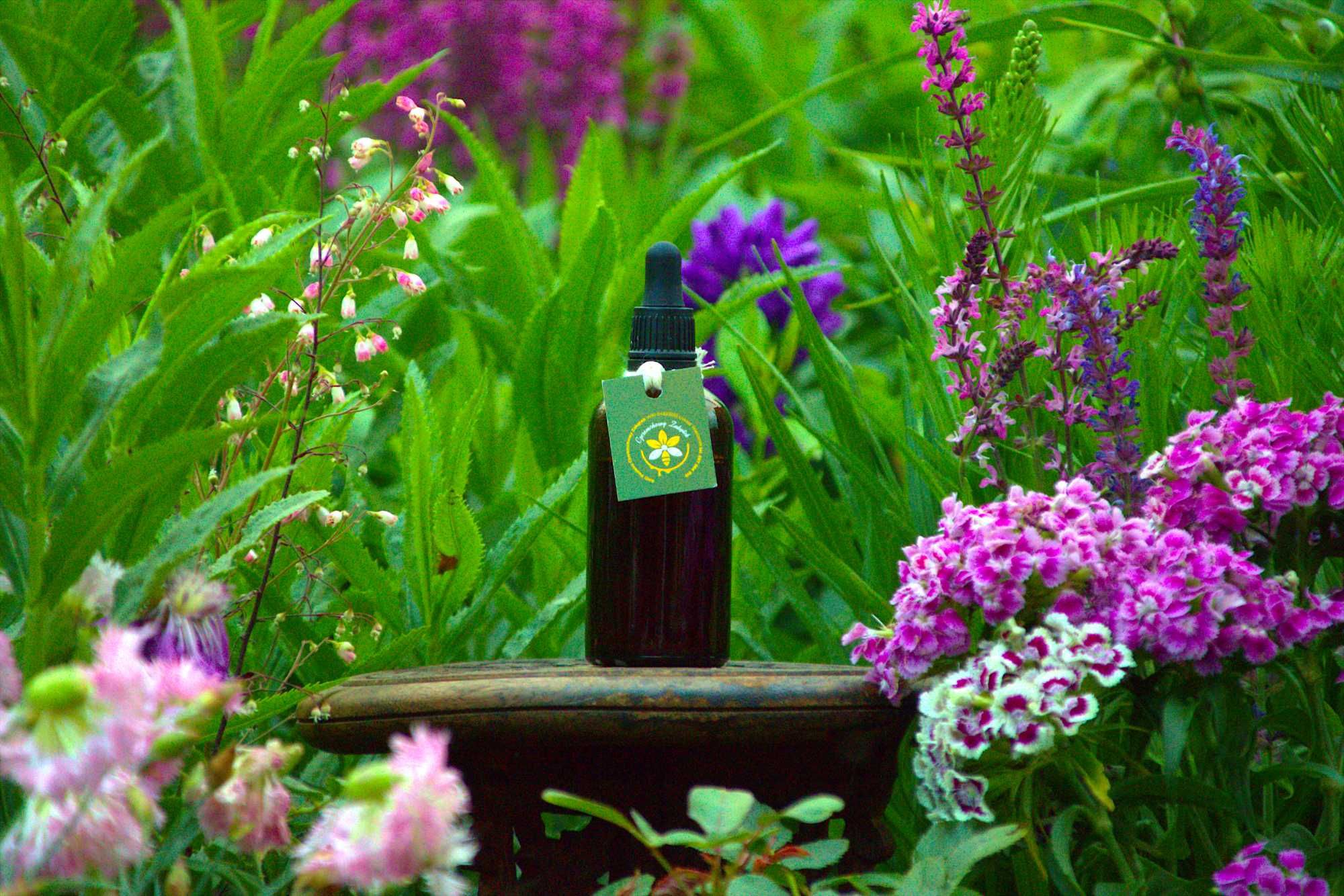 Propolis - duża butelka - 100ml
