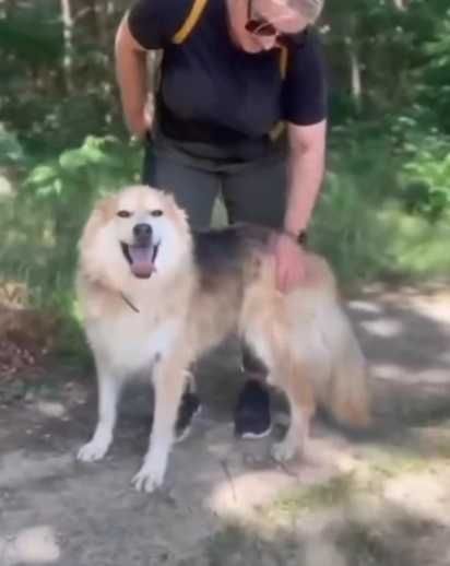 Przepiękny, puchaty, cudowny charakter - idealny pupil dla rodziny