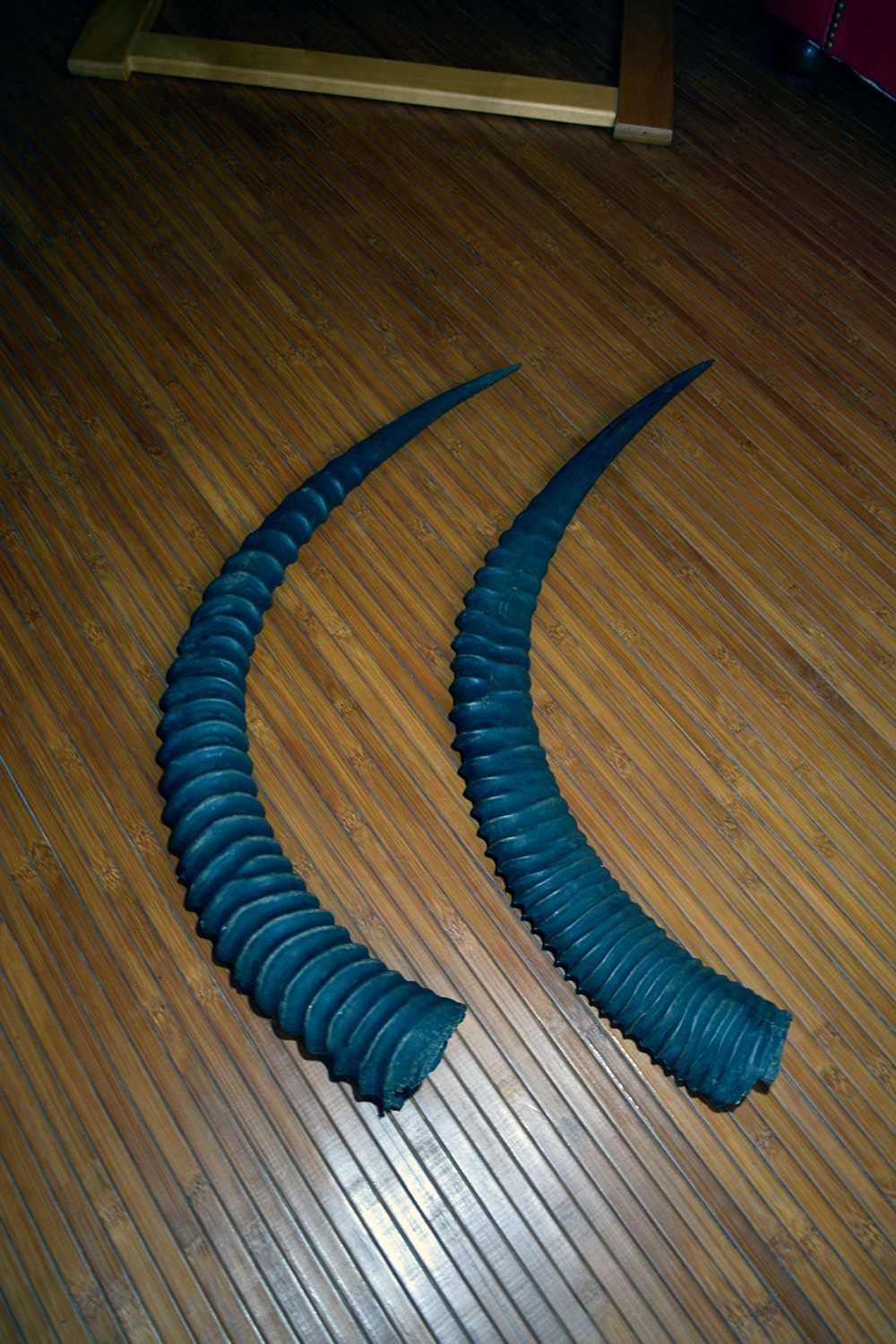 Par de Chifre 85cm