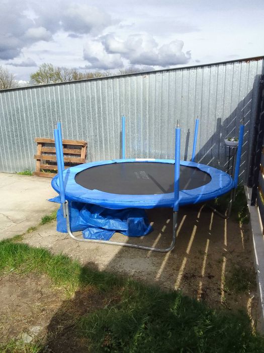 Trampolina 250 cm