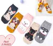 Conjunto 5 Pares de Meias PETS 36-40 (NOVO)