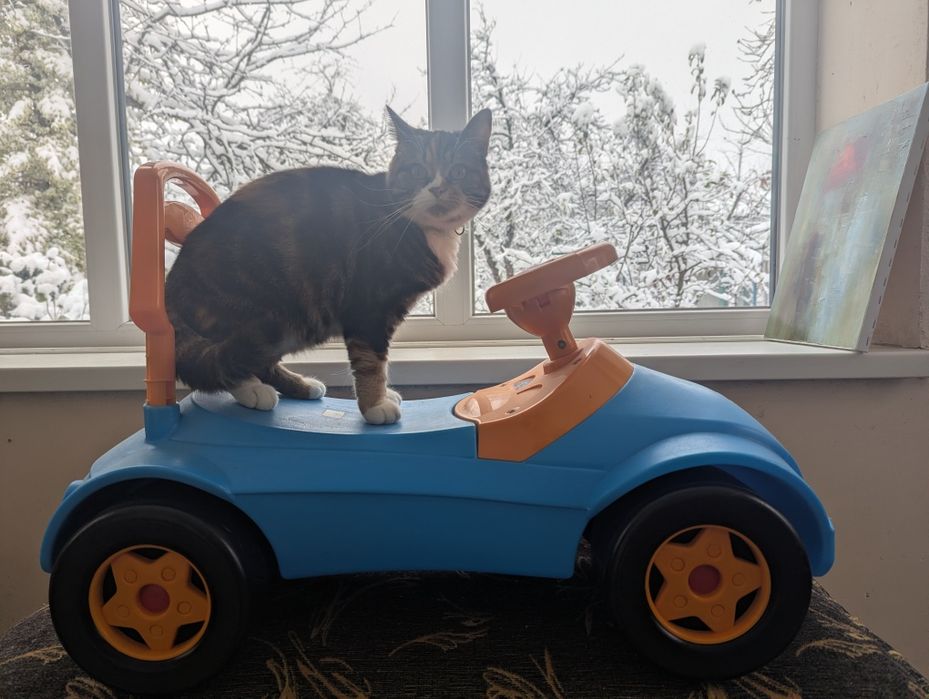 Машина дитяча пластик