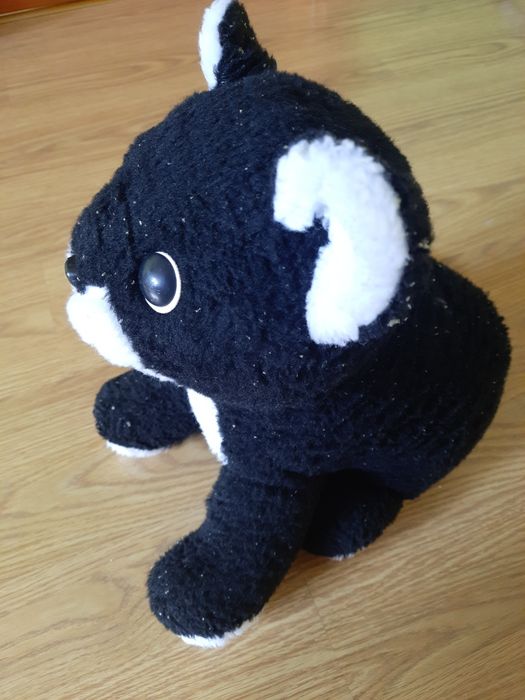 Maskotka pluszak kot duża 40cm