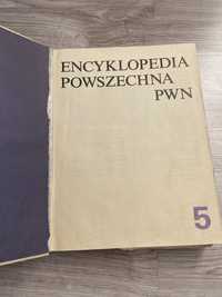 Encyklopedia powszechna PWN