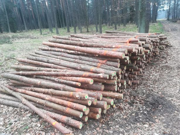 stemple budowlane 3m nowe proste drewniane solidne transport Żory Jast