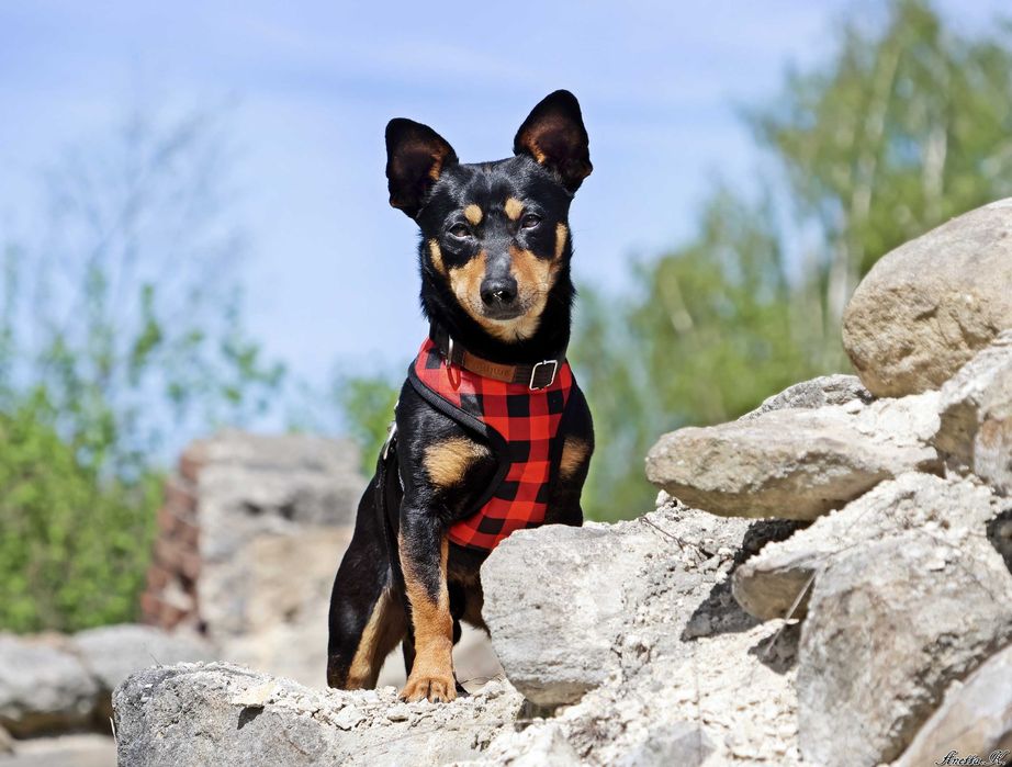 Maleńki Filip czeka na dom.