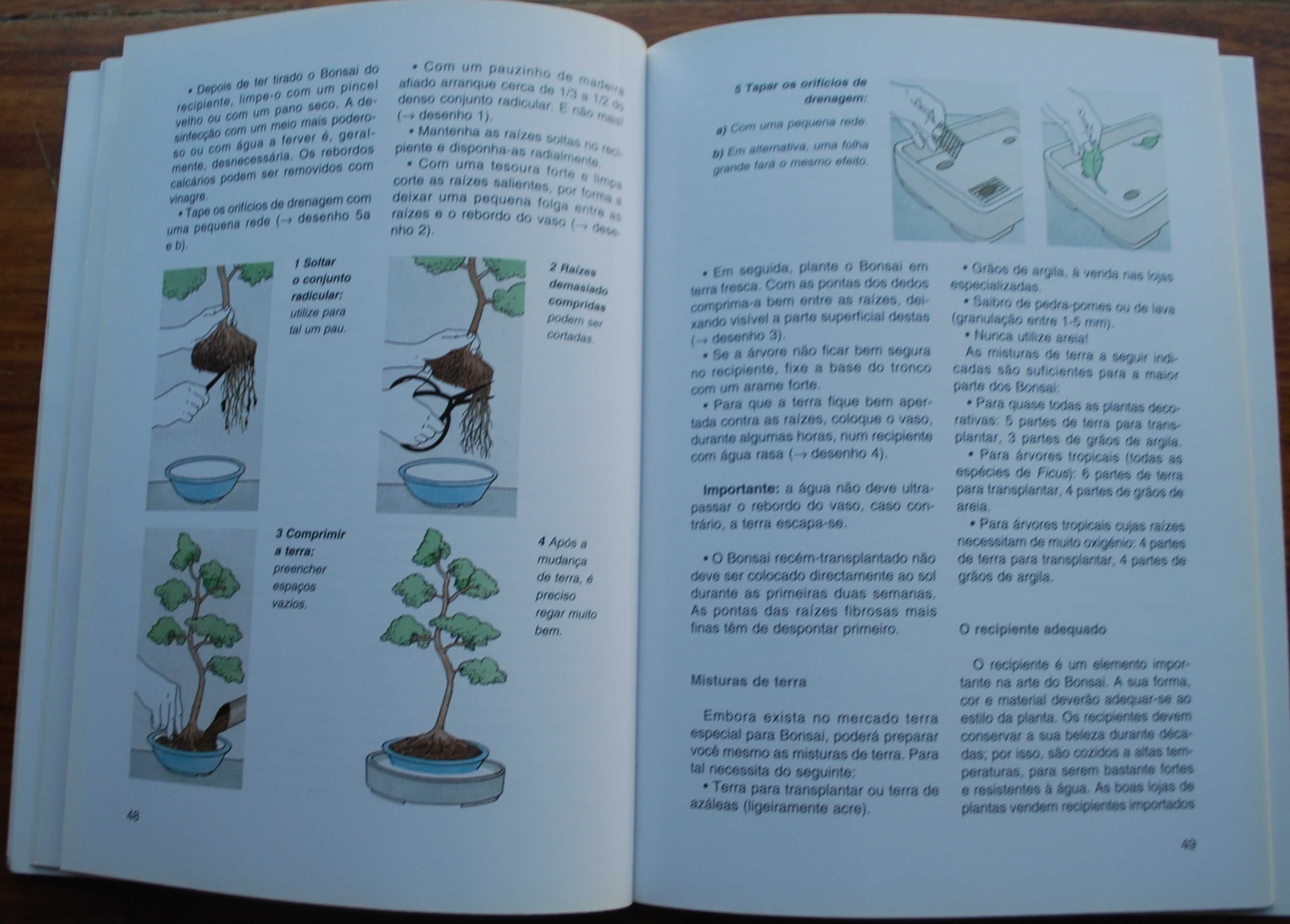 Bonsai de Interior de Jochen Pfisterer
