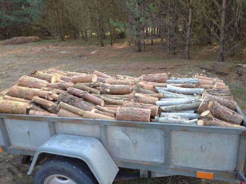 Drewno opałowe sosna