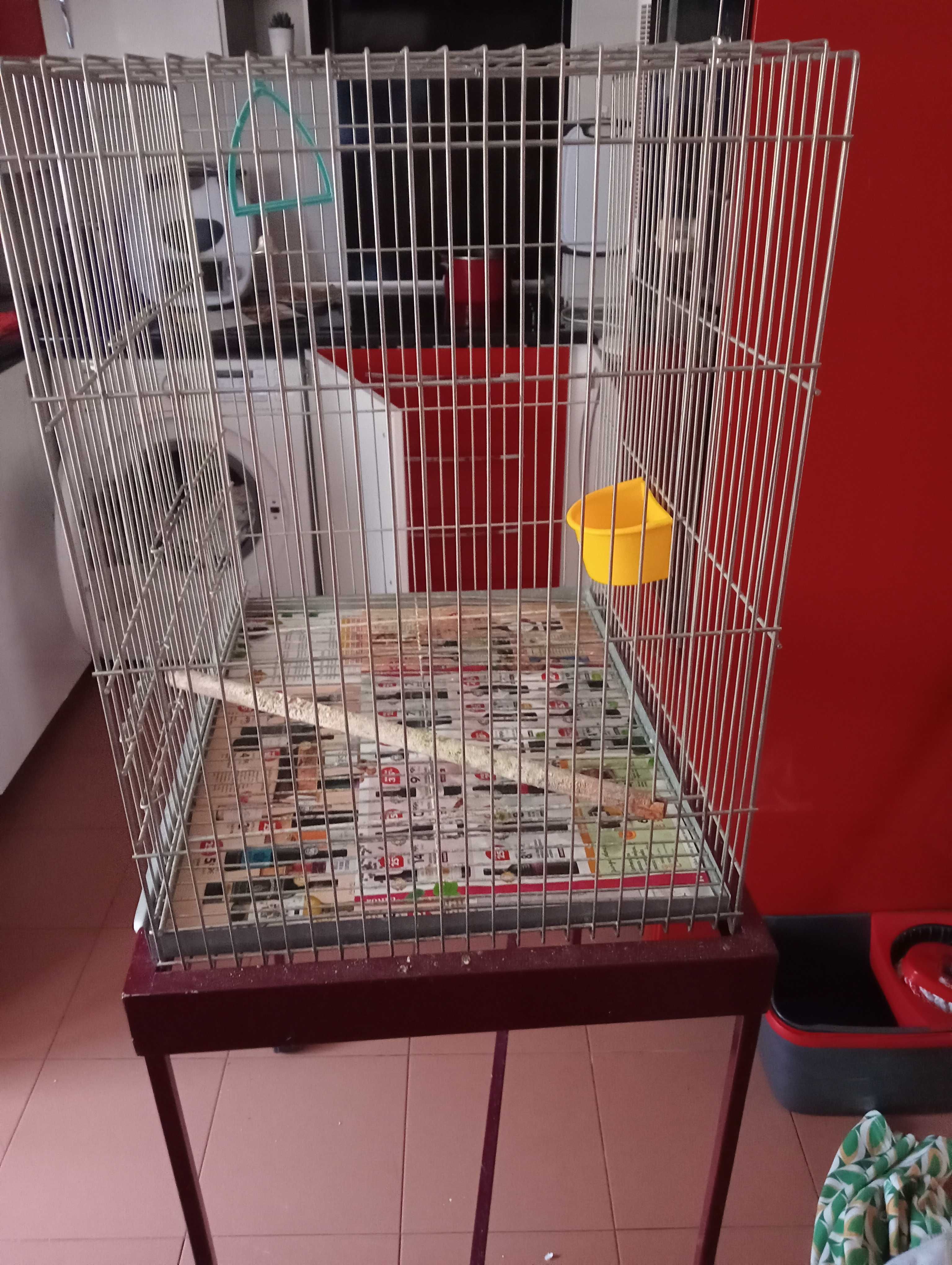 Vendo gaiola para pássaros