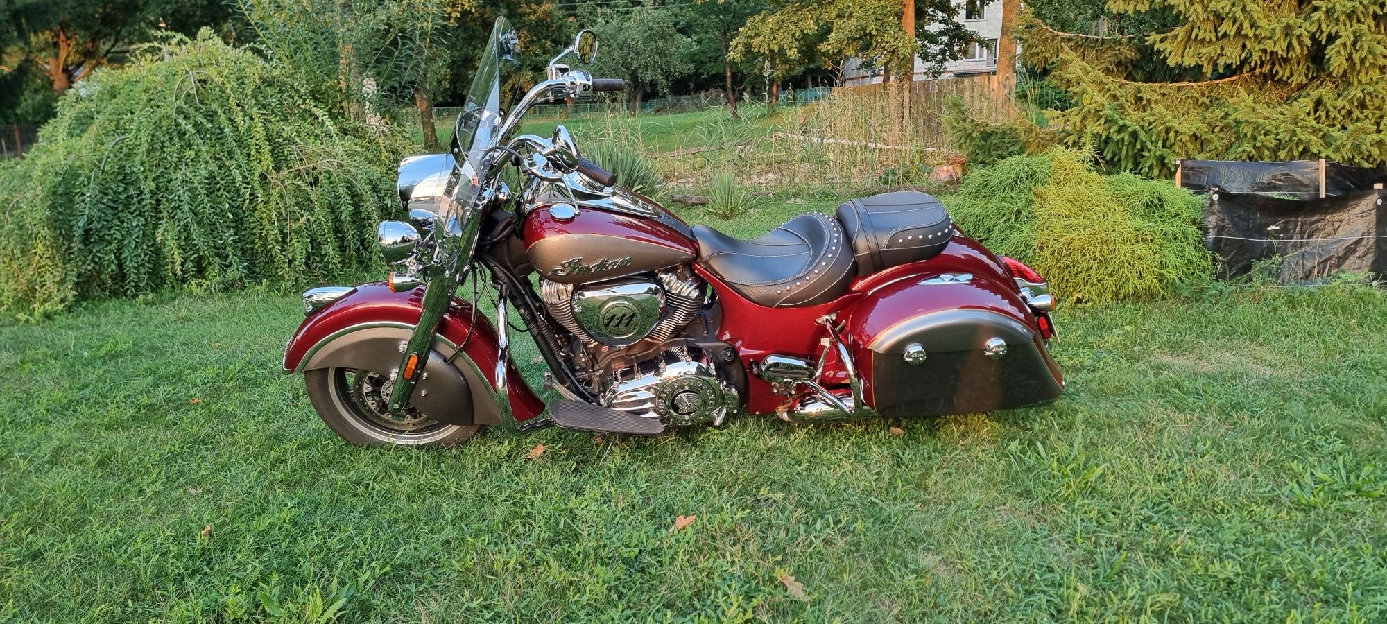 Indian Springfield 2020