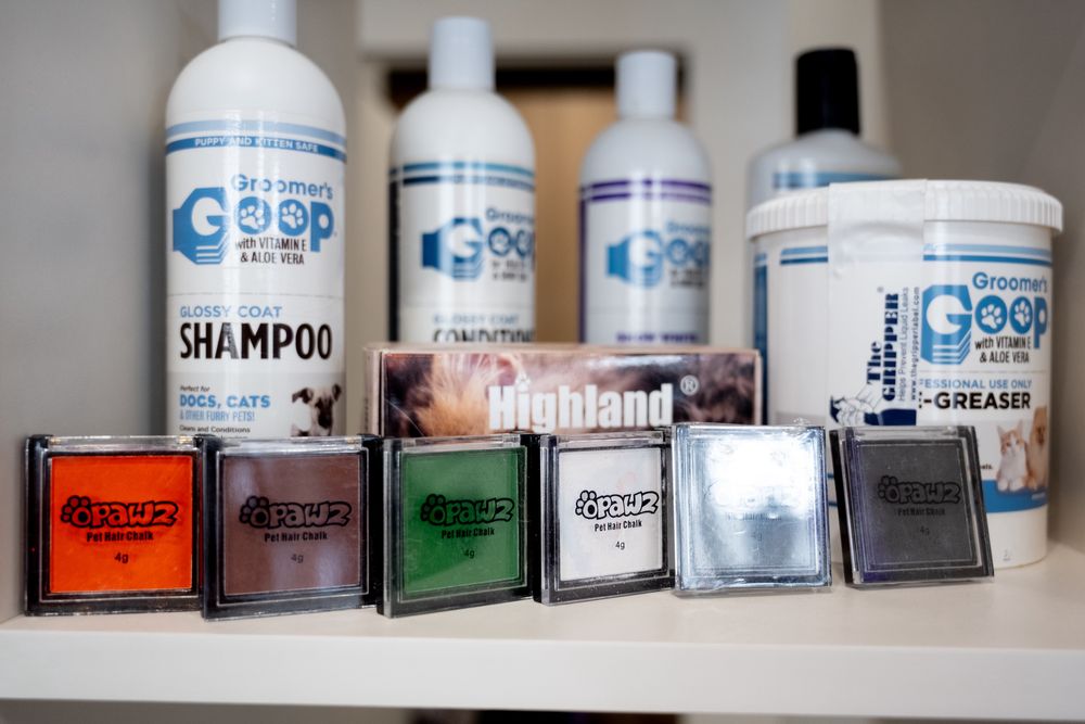 Стрижка тварин. Собак і котиків. Креатив.