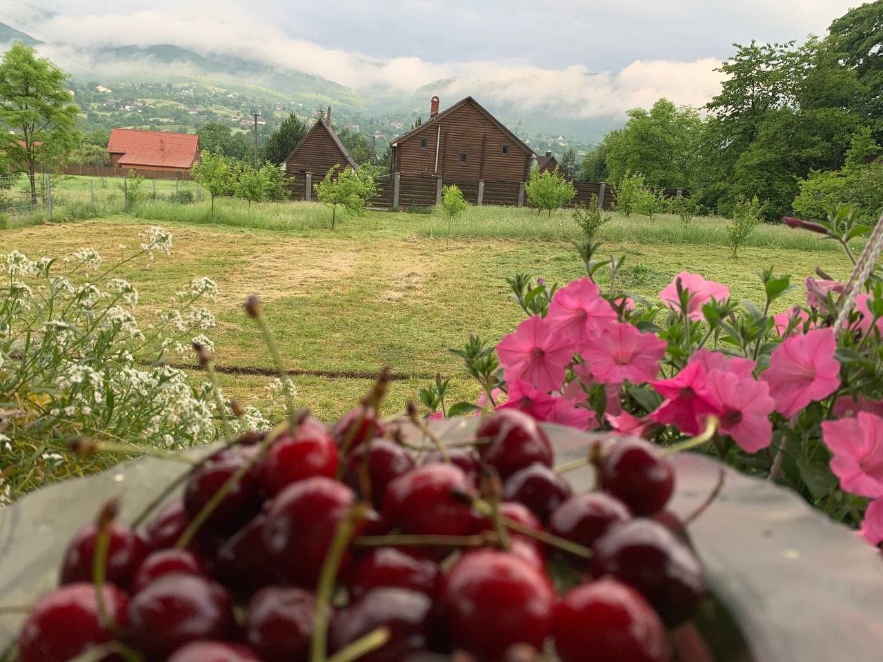 Здаються комфортабельні номера