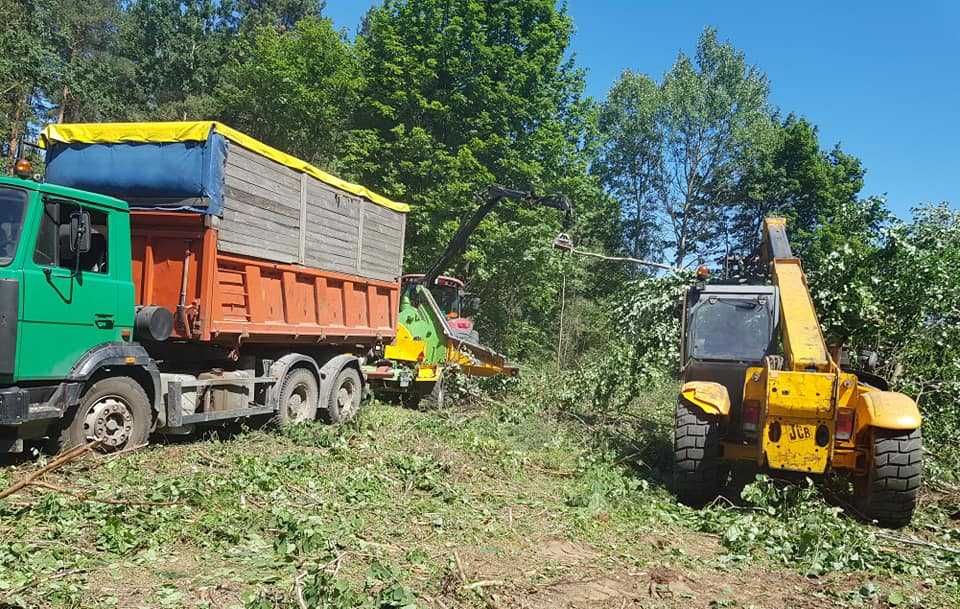 wycinka drzew,lasów/rekultywacja/głęboko/rębak/frezowanie/karczowanie