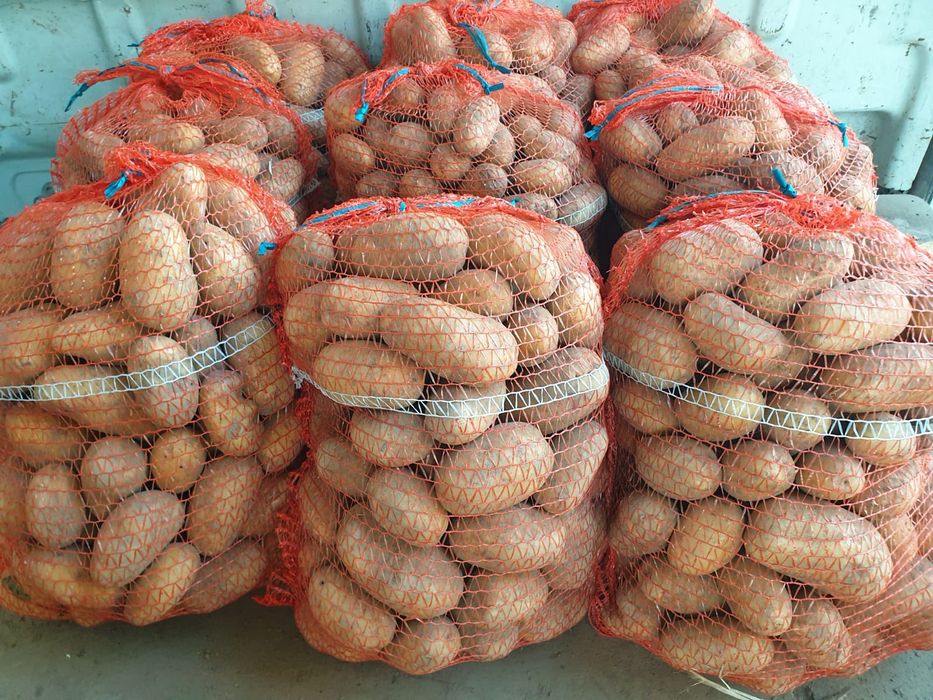 Ziemniaki vineta Queen Anna 15 kg